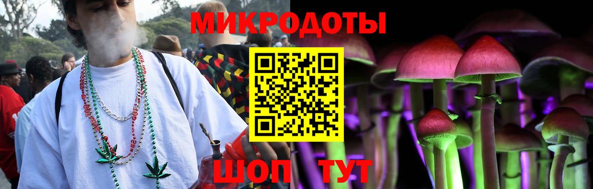 Псилоцибиновые грибы прущие грибы Фурманов